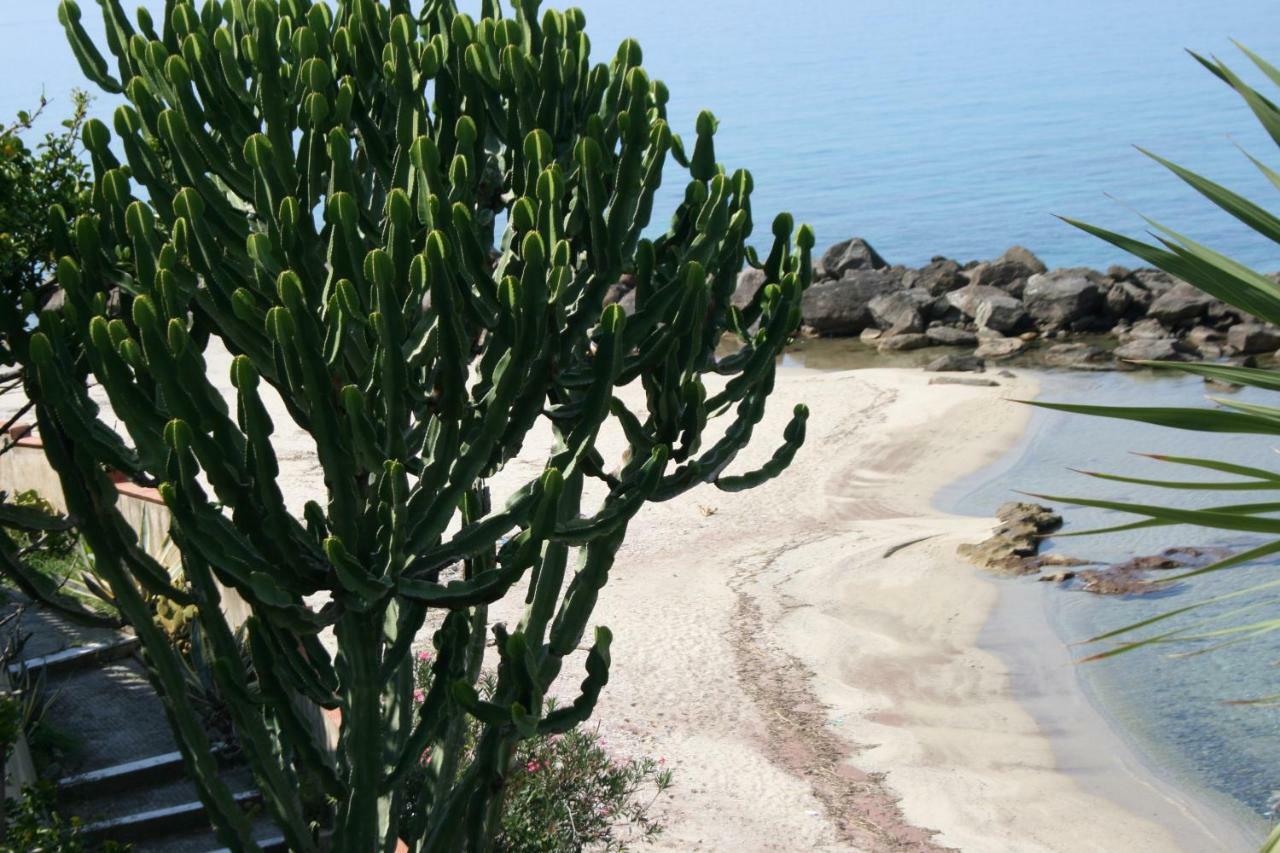 Villa Laura - Sul Mare Pizzo  Exteriér fotografie